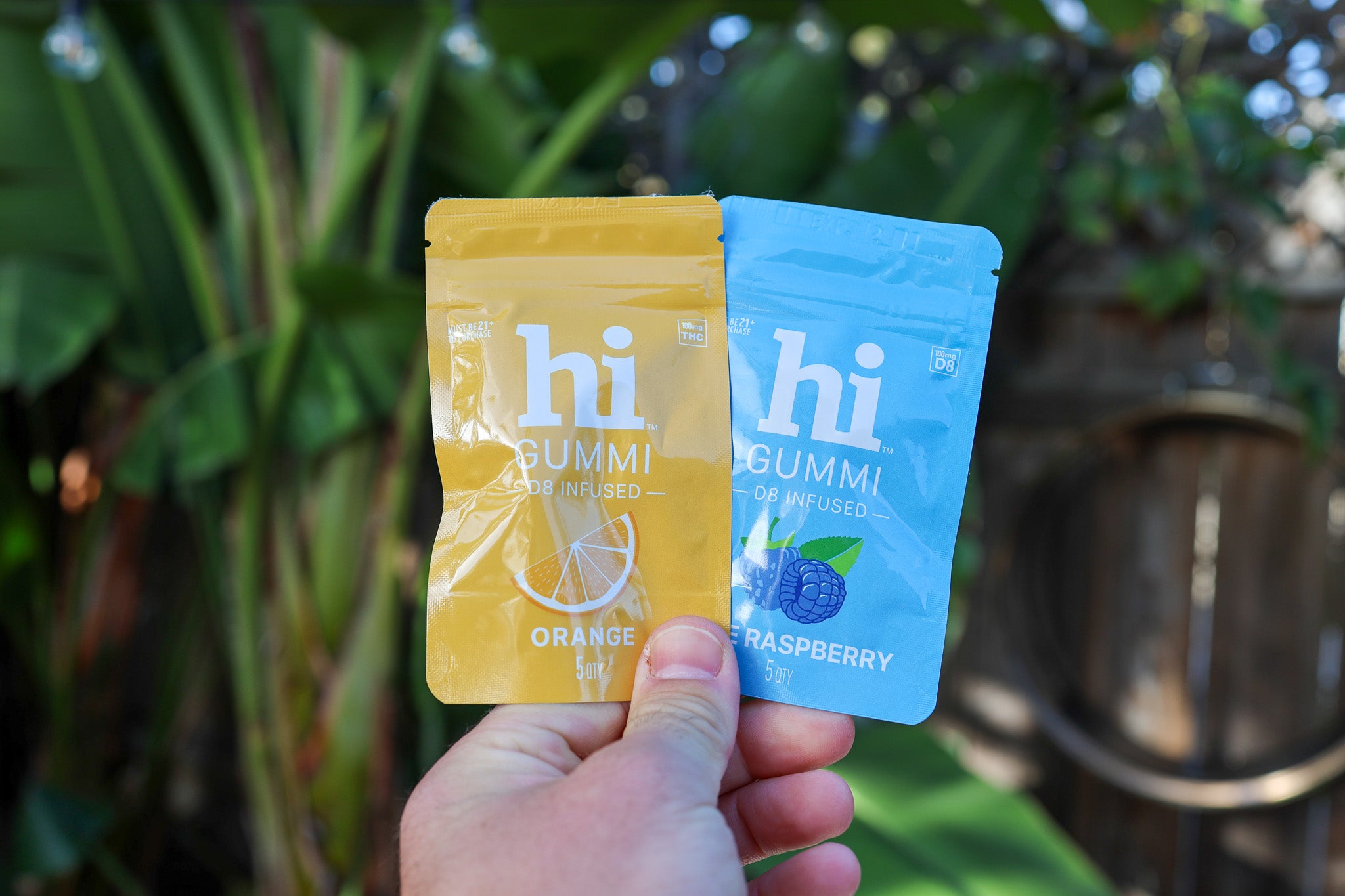 Pineapple (4 Pack) – hi Seltzers